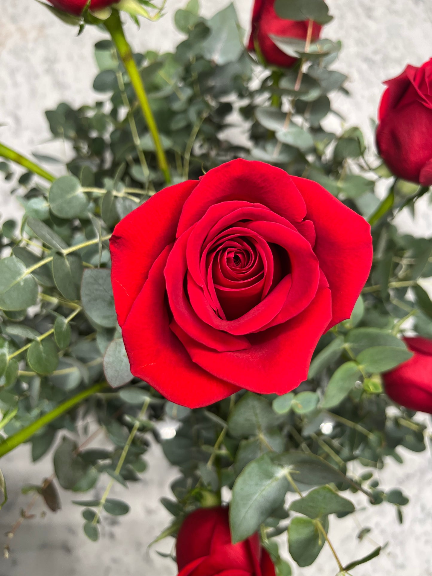 Arreglo Floral Especial San Valentín 8 Rosas en Cesta